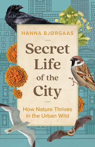 Secret Life of the City by Hanna Hagen Bjørgaas