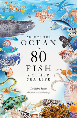 Around the Ocean in 80 Fish and other Sea Life by Helen Scales