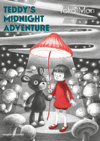 Teddy's Midnight Adventure by Yoko Mori