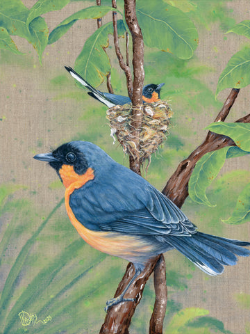 Feathered Treasures Exhibition - Meet the Artist, Kristy-Ann Duffy