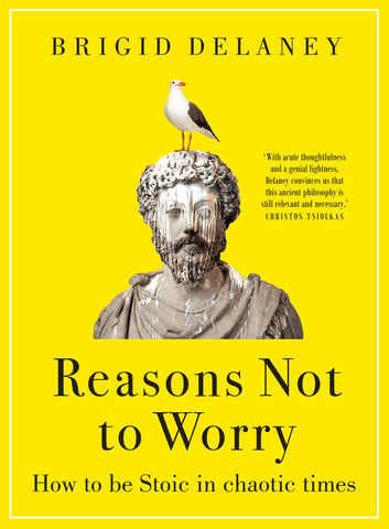 Reasons Not to Worry by Brigid Delaney