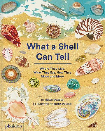What A Shell Can Tell by Helen Scales