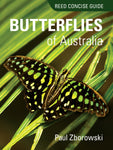 Butterflies of Australia