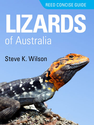 Lizards of Australia