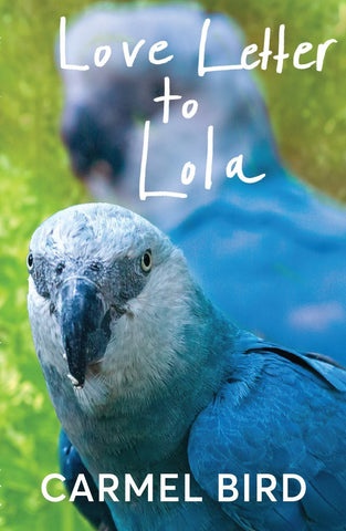 Love Letter to Lola
