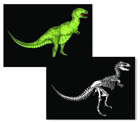 T-Rex X-Ray 3D Postcard