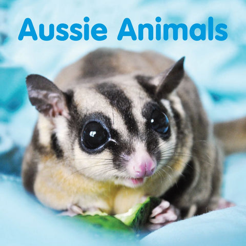 Aussie Animals - Board Book