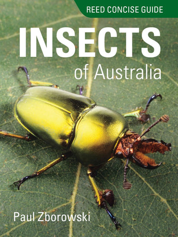 Reed Concise Guide - Insects of Australia