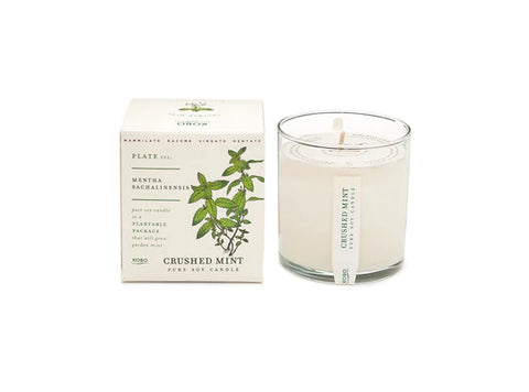 Plant the Box Candle - Crushed Mint