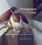 Peregrines in the City